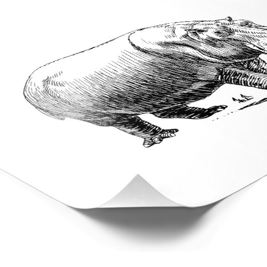 海馬 フォトプリント            (角)