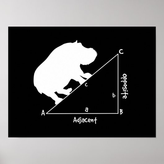 海馬 ポスター (正面)