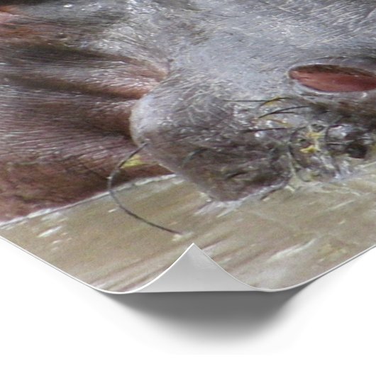 海馬 ポスター (角)