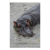 海馬 ポスター (正面)