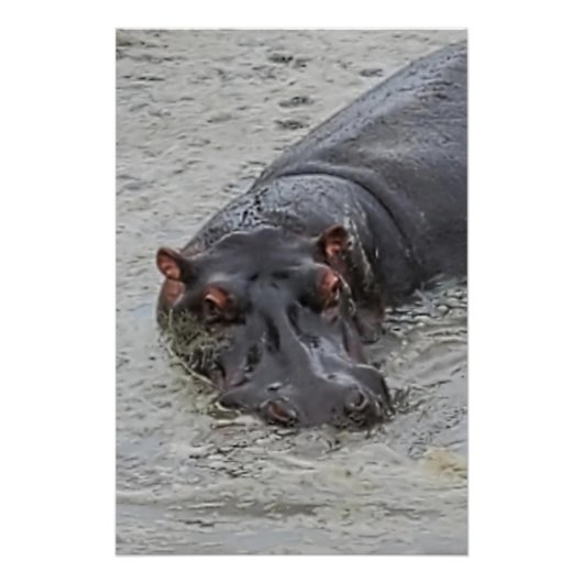 海馬 ポスター (正面)