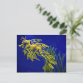 海馬 ポストカード (スタンド正面)