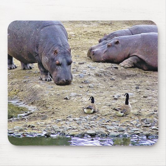 海馬 マウスパッド (正面)