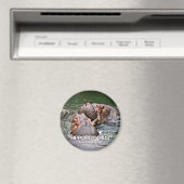 海馬 マグネット (インサイチュ (食洗機))