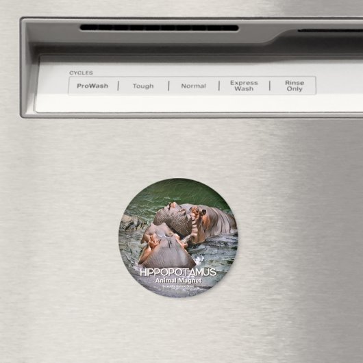 海馬 マグネット (インサイチュ (食洗機))