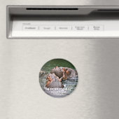 海馬 マグネット (インサイチュ (食洗機))