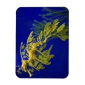 海馬 マグネット (縦)