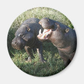 海馬 マグネット (正面)