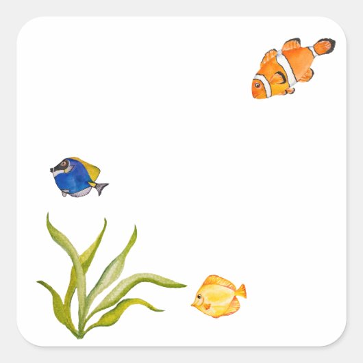 海魚や海藻を水彩にする スクエアシール (正面)