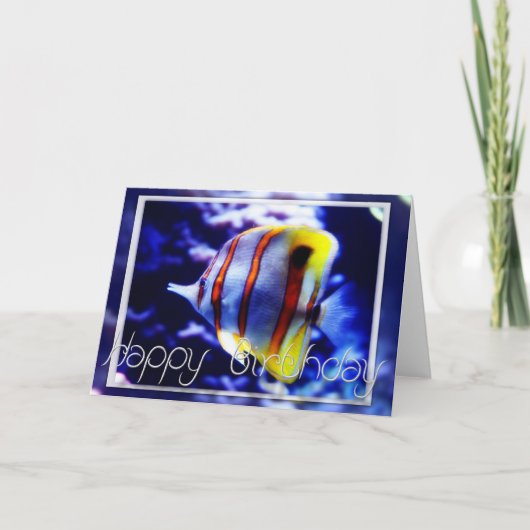 海魚ハッピーバースデーグリーティングカード カード (正面)