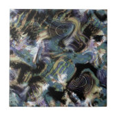 海魚 タイル (正面)