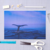 海鯨分離 薄葉紙 (クラフト)