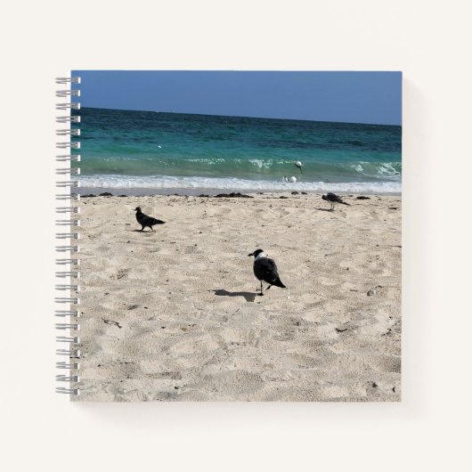 海鳥と落書き ノートブック (正面)
