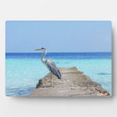 海鳥アートデコールプラーク フォトプラーク (正面)