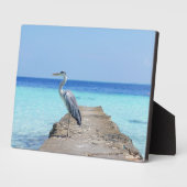 海鳥アートデコールプラーク フォトプラーク (側面)