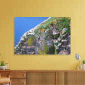 海鳥コロニーオンロッキークリフ キャンバスプリント (インサイチュ (リビング))