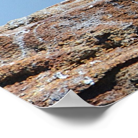 海鳥ポスター ポスター (角)