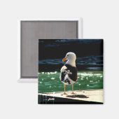 海鳥マグネット マグネット (正面/裏面)
