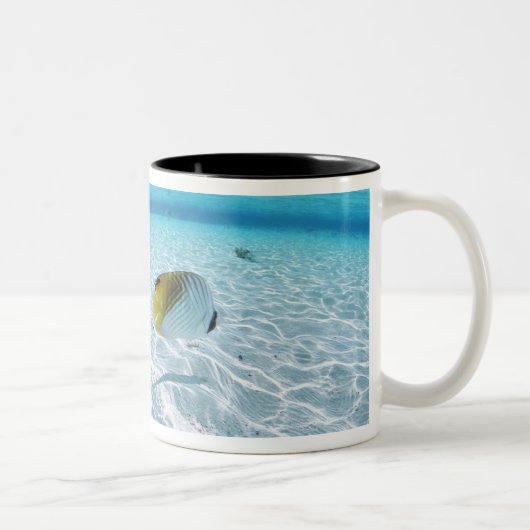 海2の魚 ツートーンマグカップ (右)