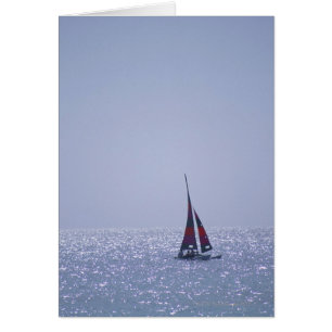 海23