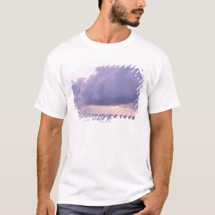 海9 Tシャツ