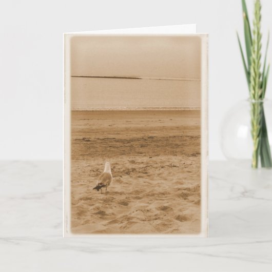 海 カード (正面)