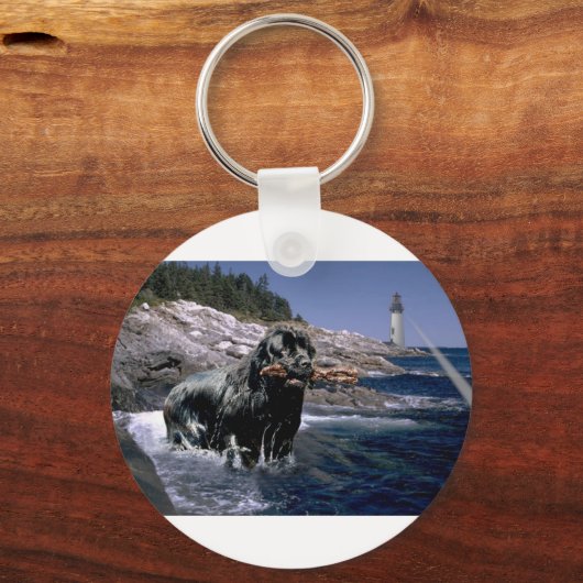 海 キーホルダー (正面)