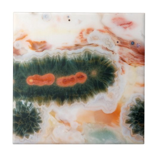 海·ジャスパー·ストーンがマダガスカルで発見 タイル (正面)