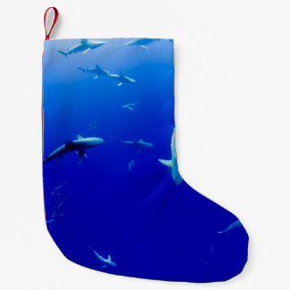 海 スモールクリスマスストッキング