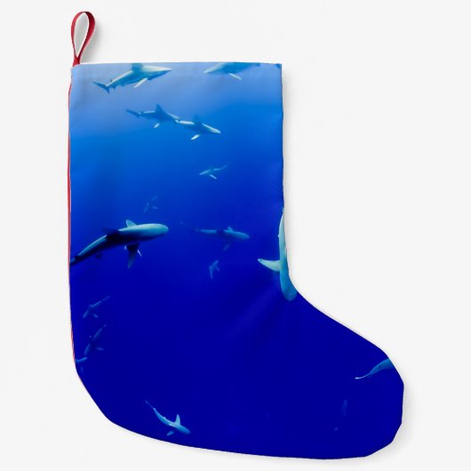 海 スモールクリスマスストッキング (正面)