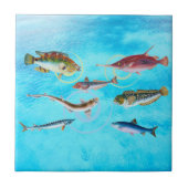 海 タイル (正面)