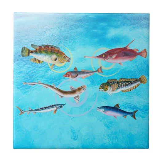 海 タイル (正面)