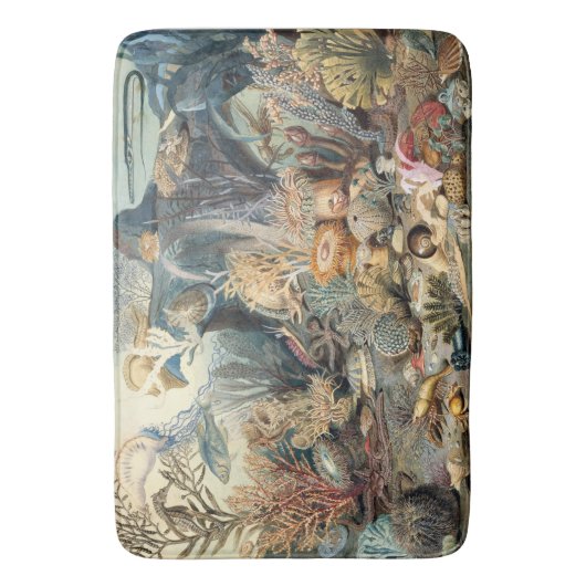 海 バスマット (正面縦)