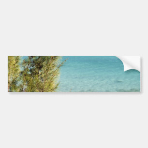 海 バンパーステッカー