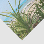 海，ビーチ，ヤシ，自然，夏，木，熱帯， 薄葉紙 (詳細)