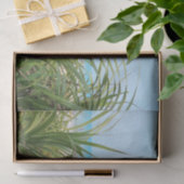 海，ビーチ，ヤシ，自然，夏，木，熱帯， 薄葉紙 (ギフト)