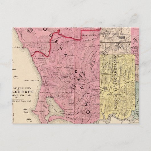 海・ボデガ・アナリー郷 ポストカード (正面)