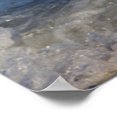 海・ポスターのカモメ ポスター (角)