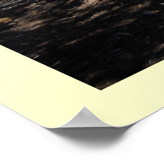 海 ポスター (角)