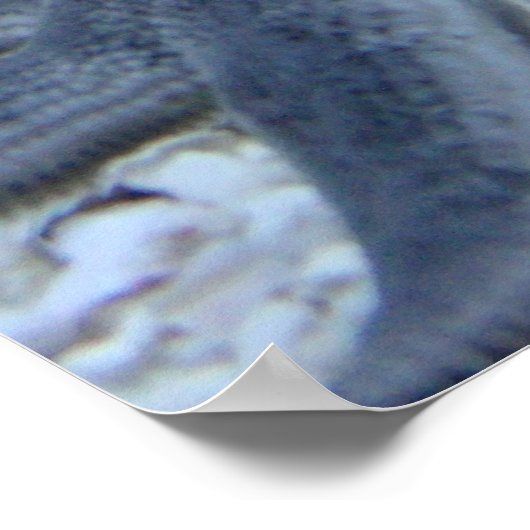 海 ポスター (角)