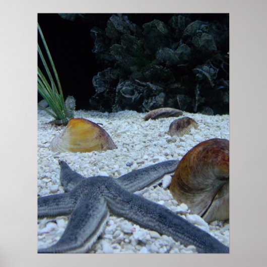 海 ポスター (正面)