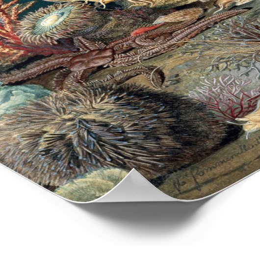 海 ポスター (角)