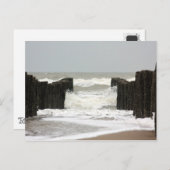 海 ポストカード (正面/裏面)