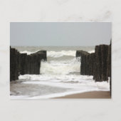 海 ポストカード (正面)