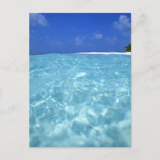海 ポストカード (正面)