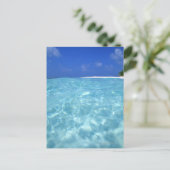 海 ポストカード (スタンド正面)