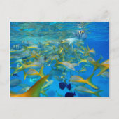 海 ポストカード (正面)