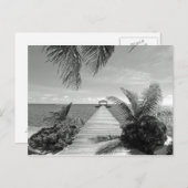 海 ポストカード (正面/裏面)