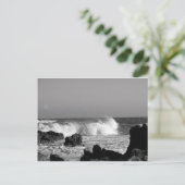 海 ポストカード (スタンド正面)