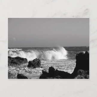 海 ポストカード